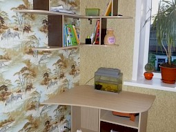 Компьютерный стол на заказ